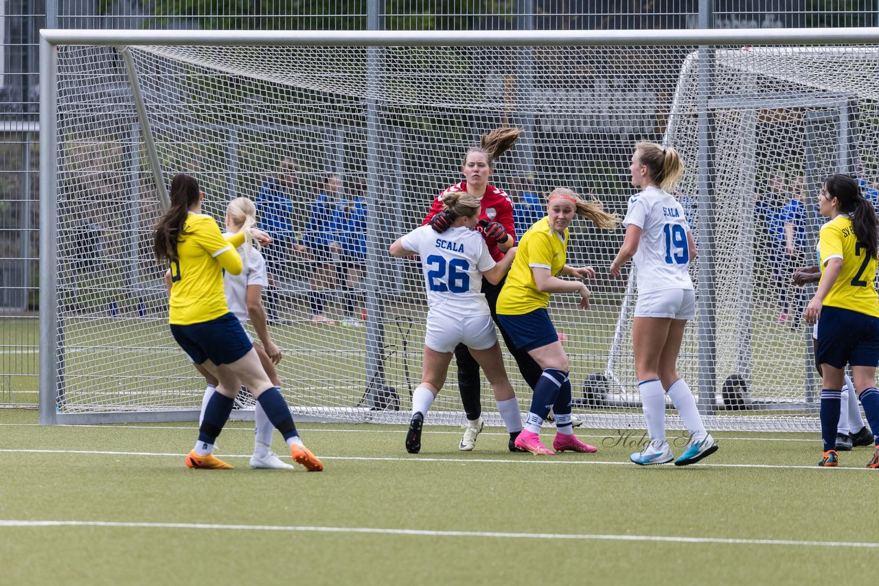 Bild 259 - F SV Eidelstedt - SC Alstertal-Langenhorn : Ergebnis: 2:7